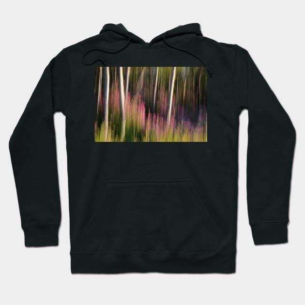 Forest Illusions- Crescendo at Dawn Hoodie by Whisperingpeaks